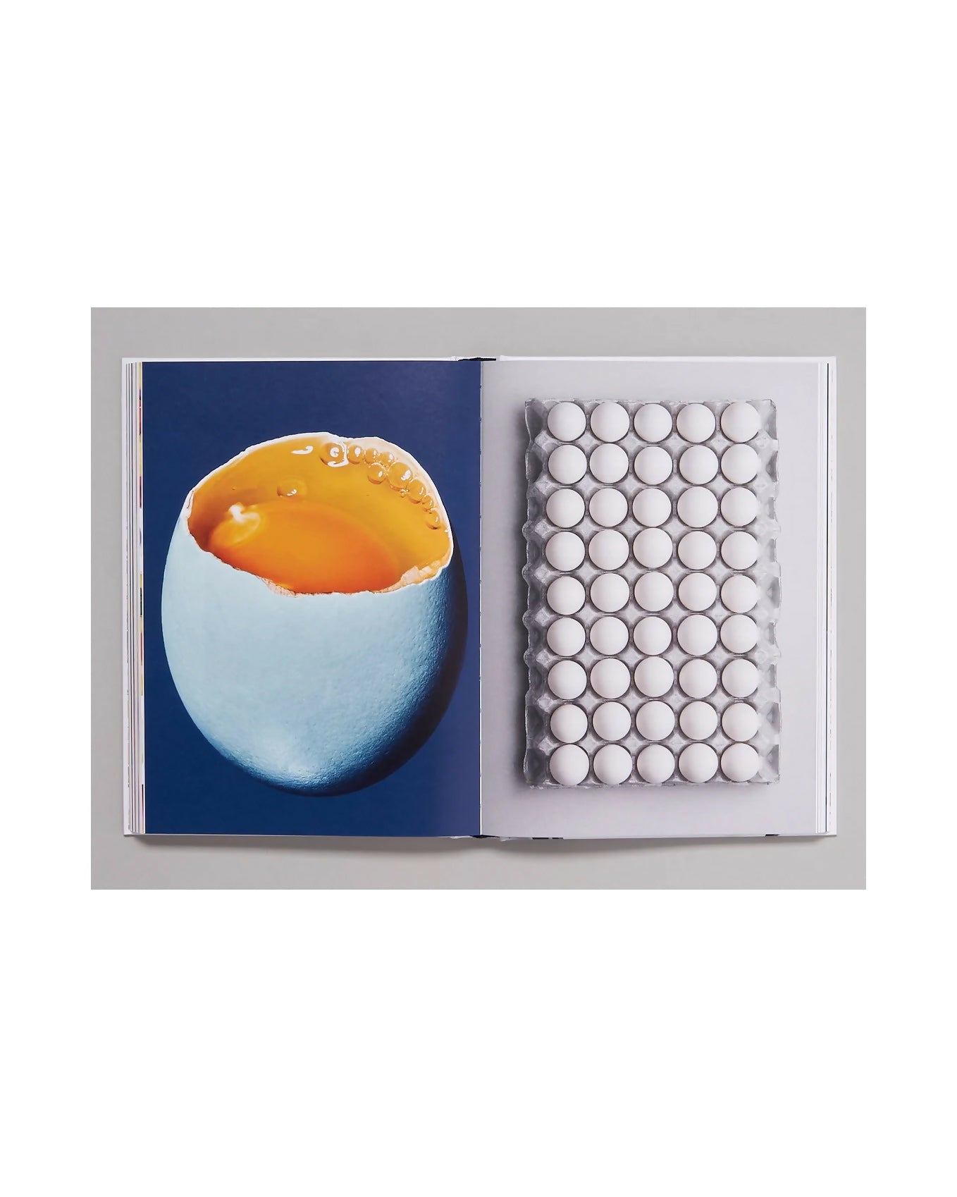 Open book showing an egg with an open top and a grid of white eggs on a white background, available  to buy on the-salon.com. SALON curates the finest , unique, handmade pieces from the interior industry's best makers and brands. Shop luxury furniture, lighting, rugs, art, antiques and vintage pieces and accessories from SALON interior designed rooms.
