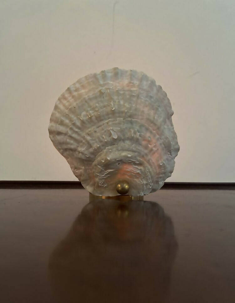 A brass tealight candle holder in the shape of a Norfolk oyster shell, displayed against a neutral background,  available  to buy on the-salon.com. SALON curates the finest , unique, handmade pieces from the interior industry's best makers and brands. Shop luxury furniture, lighting, rugs, art, antiques and vintage pieces and accessories from SALON interior designed rooms.