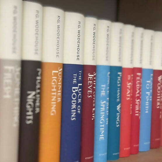 A row of hardcover books by P.G, in an assortment of colours, available  to buy on the-salon.com. SALON curates the finest , unique, handmade pieces from the interior industry's best makers and brands. Shop luxury furniture, lighting, rugs, art, antiques and vintage pieces and accessories from SALON interior designed rooms.