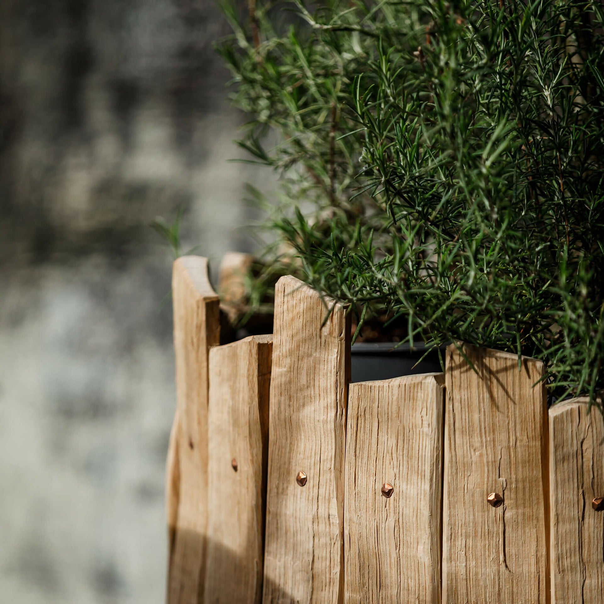 TABI JACKSON GEE EDIT: CLEFT OAK PLANTER (LARGE) BY TABI JACKSON GEE & JACK RITSON