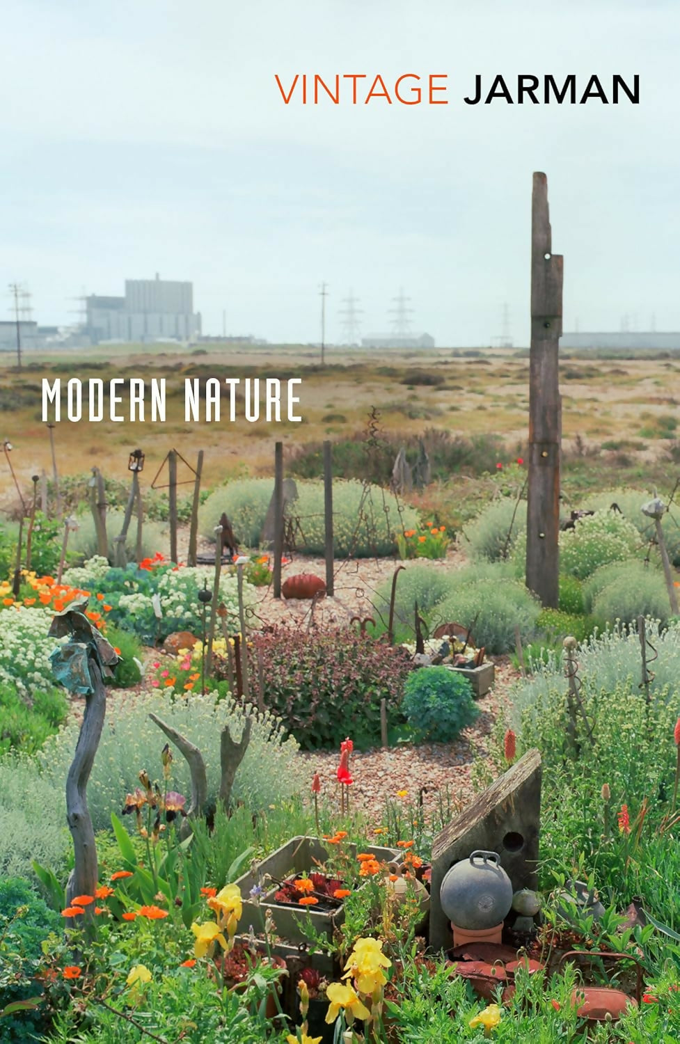 MODERN NATURE BY DEREK JARMAN FROM SALON 3AM