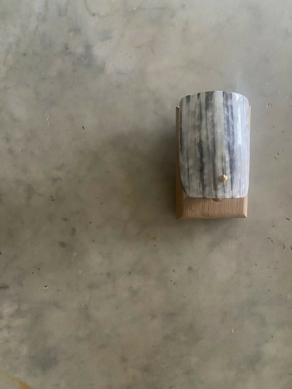 HORN STUD WALL LIGHT BY CHARLOTTE PACKE