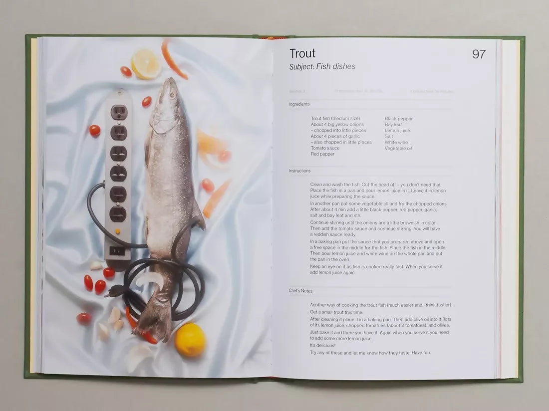 Open book, pages to an image of a fish, an extension cord, lemon and baby tomatoes. The instructions being formatted like an email, available  to buy on the-salon.com. SALON curates the finest , unique, handmade pieces from the interior industry's best makers and brands. Shop luxury furniture, lighting, rugs, art, antiques and vintage pieces and accessories from SALON interior designed rooms.
