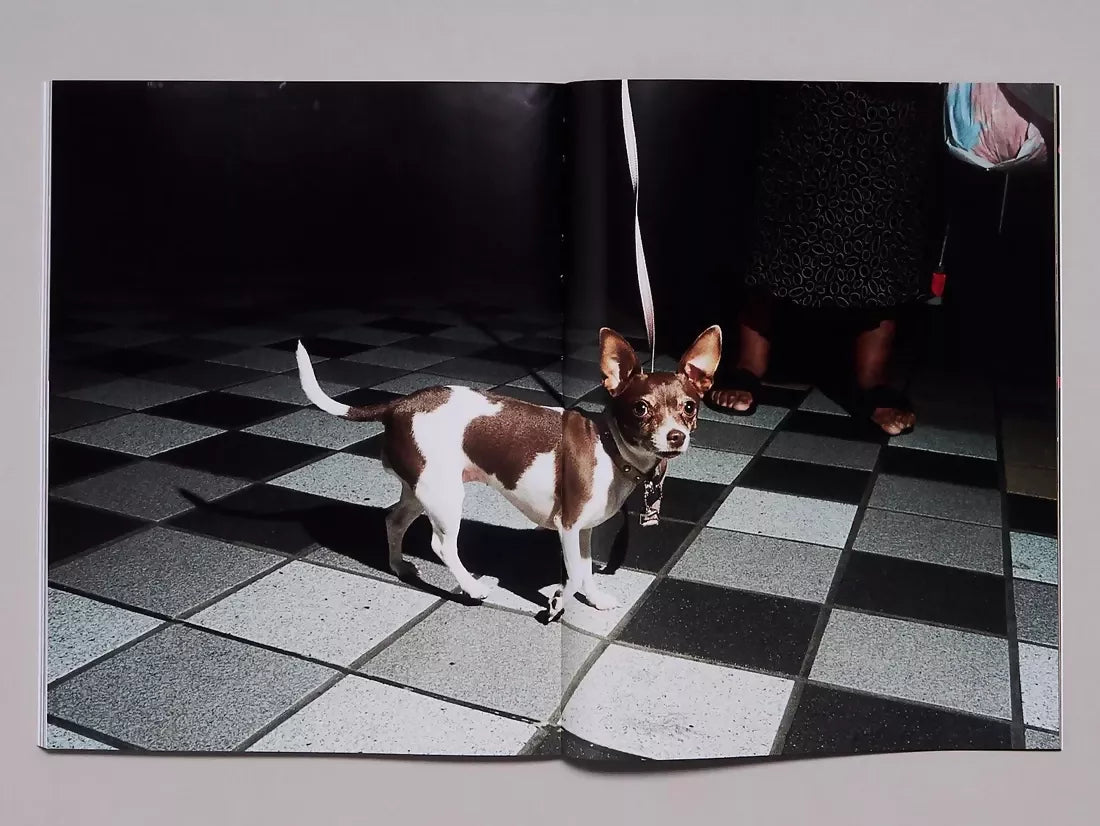 Open book, page to a chihuahua on a leash,  available  to buy on the-salon.com. SALON curates the finest , unique, handmade pieces from the interior industry's best makers and brands. Shop luxury furniture, lighting, rugs, art, antiques and vintage pieces and accessories from SALON interior designed rooms.