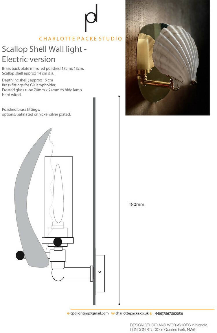 A wall light fixture with a chalky white scallop shell finish mounted on a polished brass backplate, including the measurements,  available  to buy on the-salon.com. SALON curates the finest , unique, handmade pieces from the interior industry's best makers and brands. Shop luxury furniture, lighting, rugs, art, antiques and vintage pieces and accessories from SALON interior designed rooms.