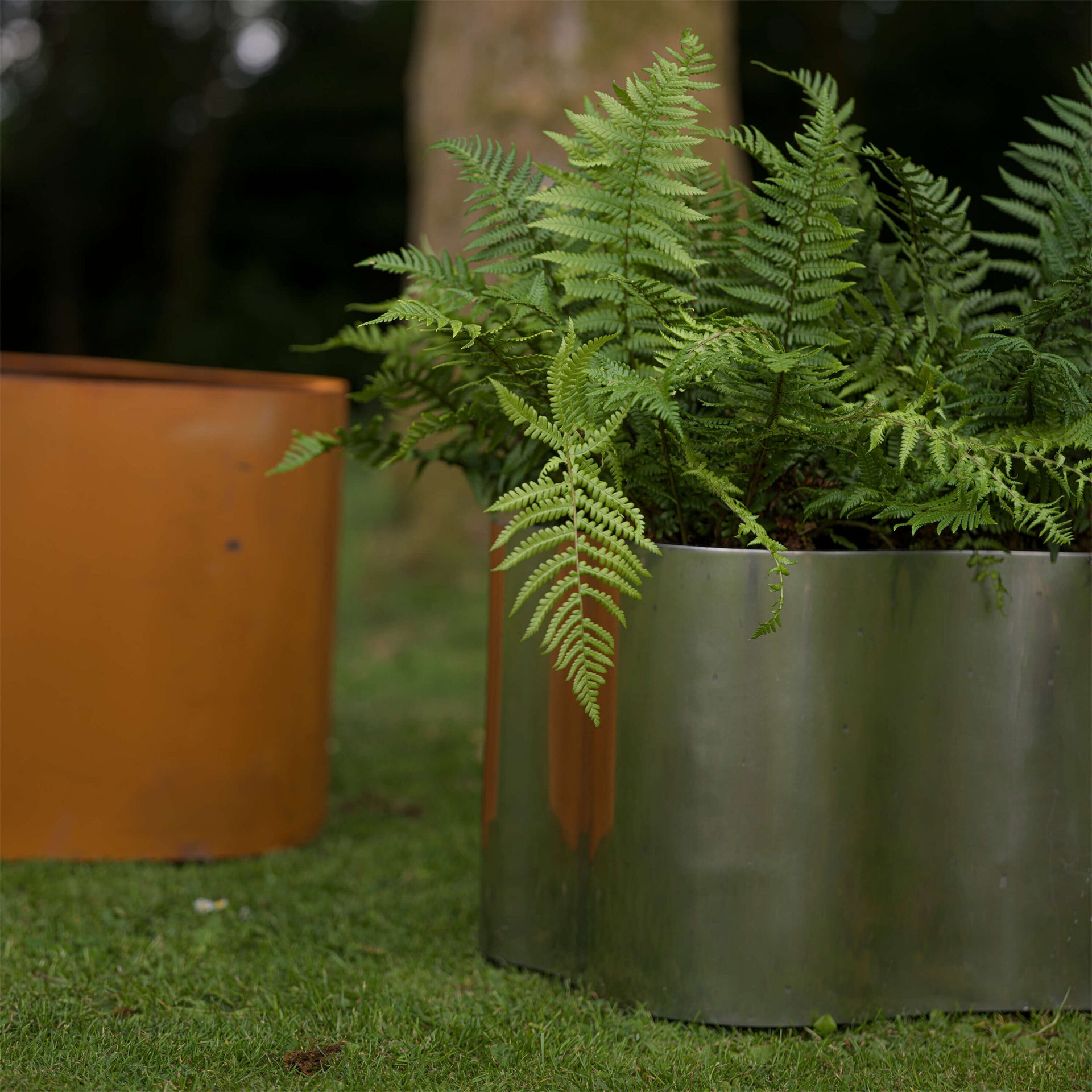 TABI JACKSON GEE EDIT: LILY PLANTER (LARGE) BY TOM FAULKNER