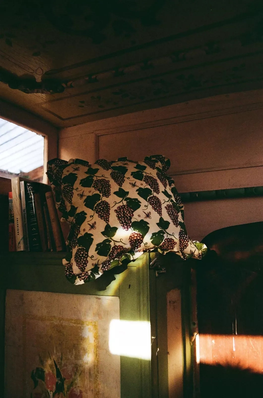 A cushion with a screen printed design featuring grapevines and dragonflies, with a frill detail, placed on a surface with a lamp providing a warm light,  available  to buy on the-salon.com. SALON curates the finest , unique, handmade pieces from the interior industry's best makers and brands. Shop luxury furniture, lighting, rugs, art, antiques and vintage pieces and accessories from SALON interior designed rooms.