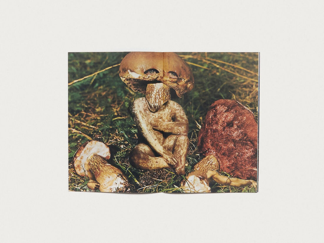 Close-up of mushrooms on a grassy background,  available  to buy on the-salon.com. SALON curates the finest , unique, handmade pieces from the interior industry's best makers and brands. Shop luxury furniture, lighting, rugs, art, antiques and vintage pieces and accessories from SALON interior designed rooms.