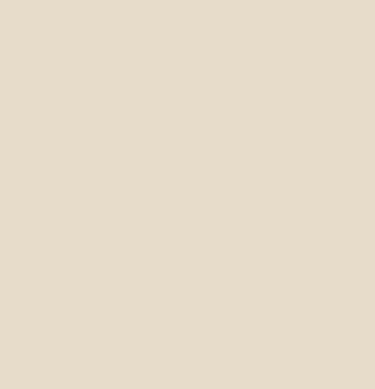 A paint swatch in an off-white color with a subtle rose tint,  available  to buy on the-salon.com. SALON curates the finest , unique, handmade pieces from the interior industry's best makers and brands. Shop luxury furniture, lighting, rugs, art, antiques and vintage pieces and accessories from SALON interior designed rooms.