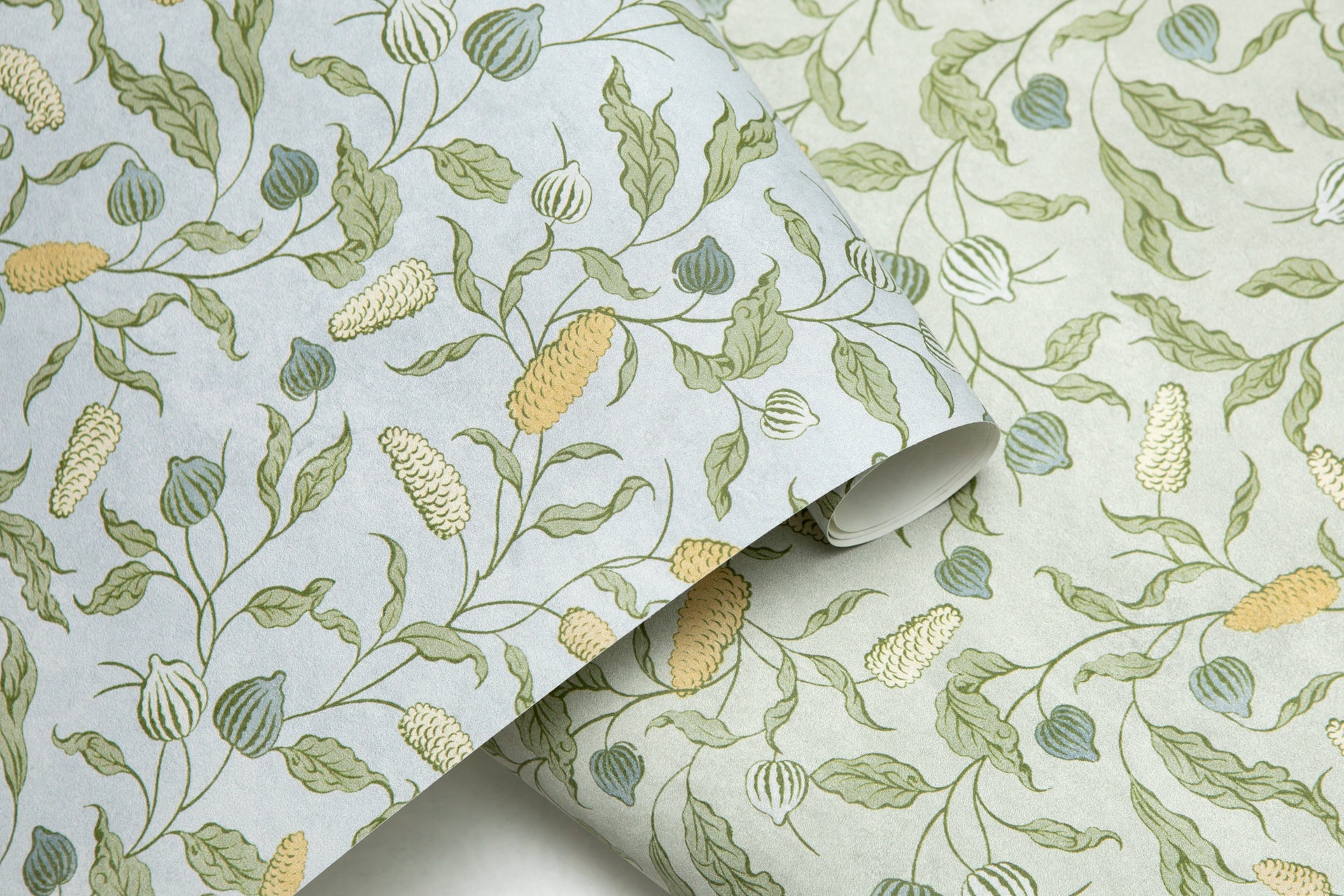 GIARDINA BY ZARDI & ZARDI