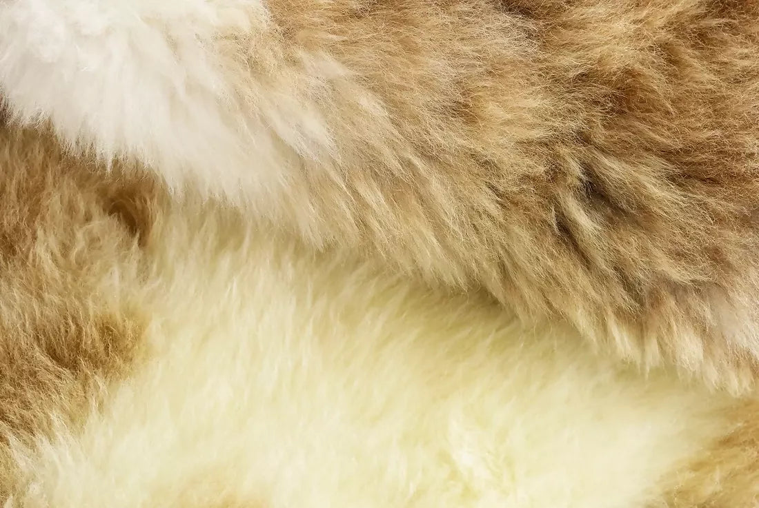 White  and beige sheepskin rug. The rug, available to buy from the-salon.com. SALON curates the finest unique handmade pieces from the interior industry's best makers and brands. Shop luxury furniture, lighting, rugs, art, antiques and vintage pieces and accessories from SALON interior designed rooms.