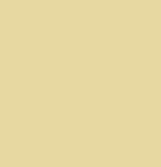 A solid green-yellow  colour background, representing a paint colour,  available  to buy on the-salon.com. SALON curates the finest , unique, handmade pieces from the interior industry's best makers and brands. Shop luxury furniture, lighting, rugs, art, antiques and vintage pieces and accessories from SALON interior designed rooms.