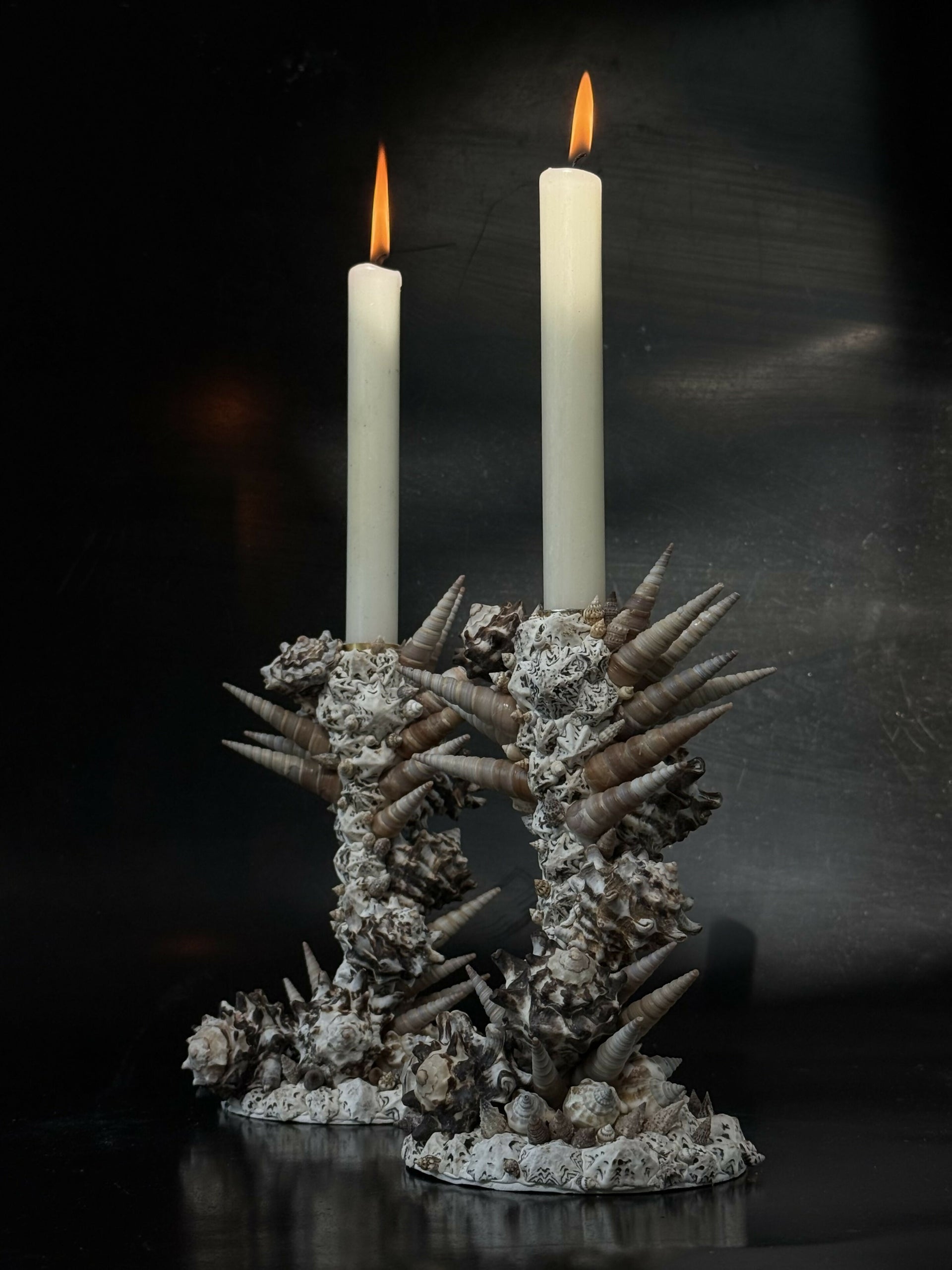 THE MACE DUET BY SYLVIE MACMILLAN