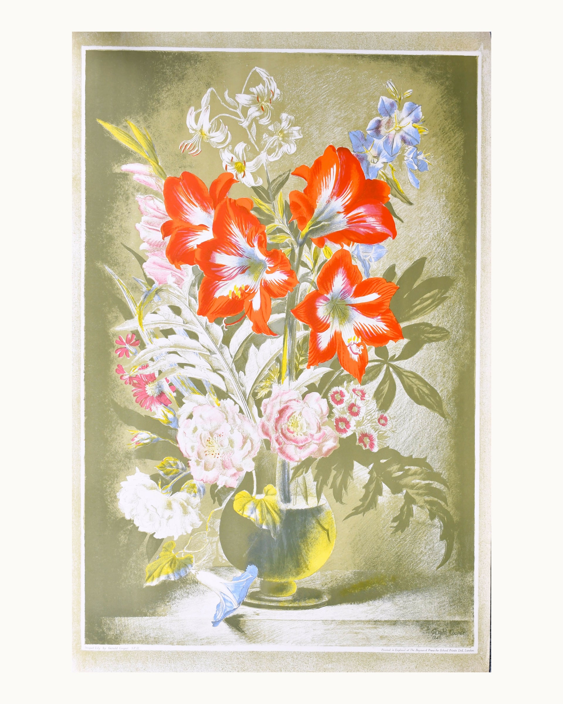 STRIPED LILY BY GERALD COOPER FROM FLOWERS, MOUNTAINS, ETC