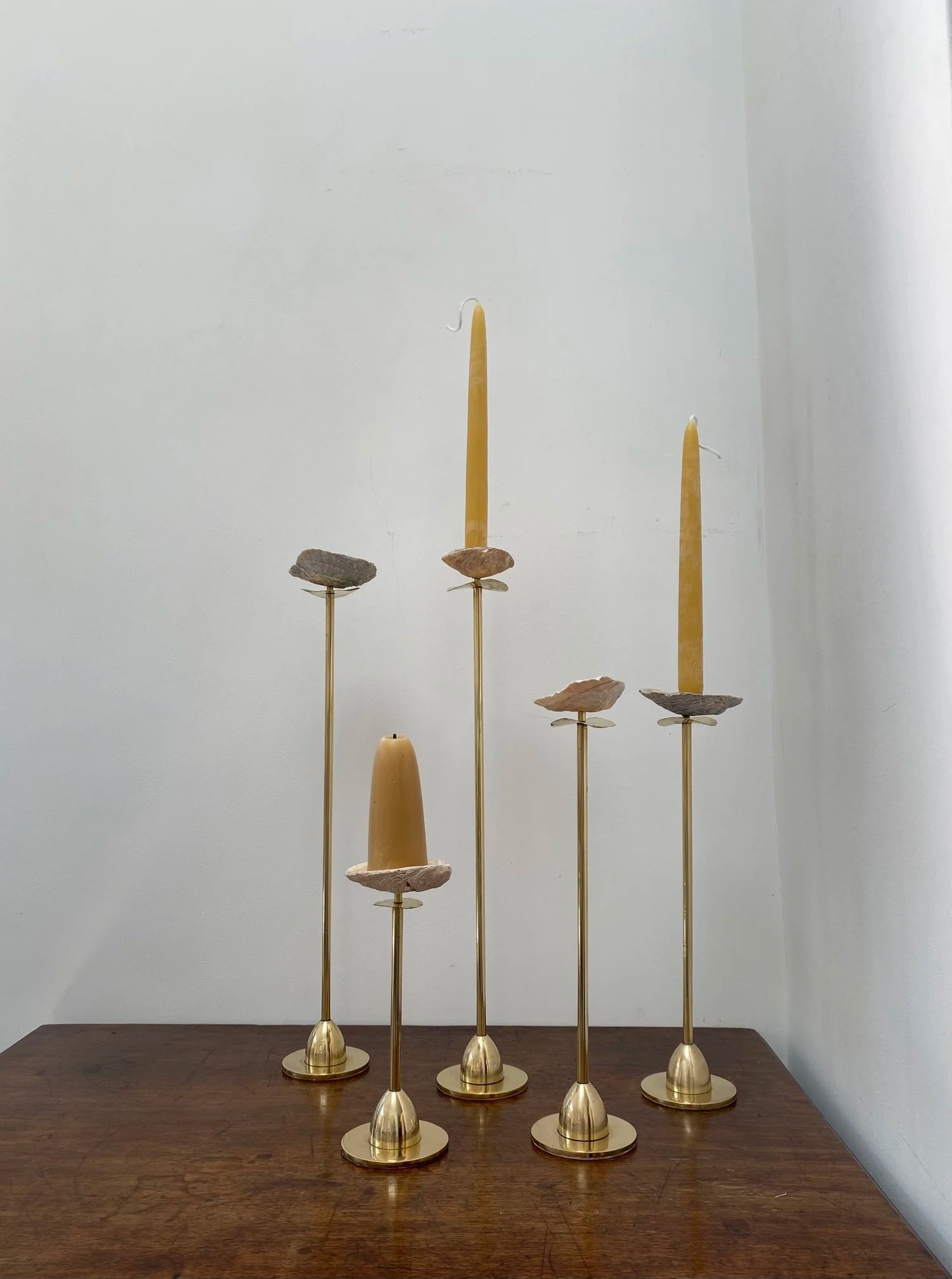 NORFOLK SHELL CANDLESTICK BY CHARLOTTE PACKE