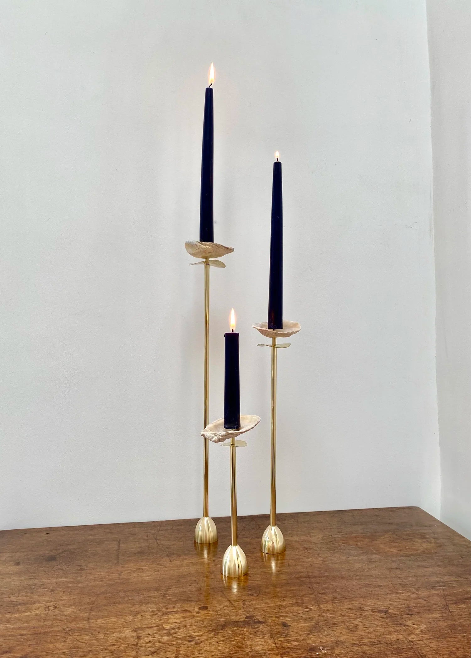 NORFOLK SHELL CANDLESTICK BY CHARLOTTE PACKE