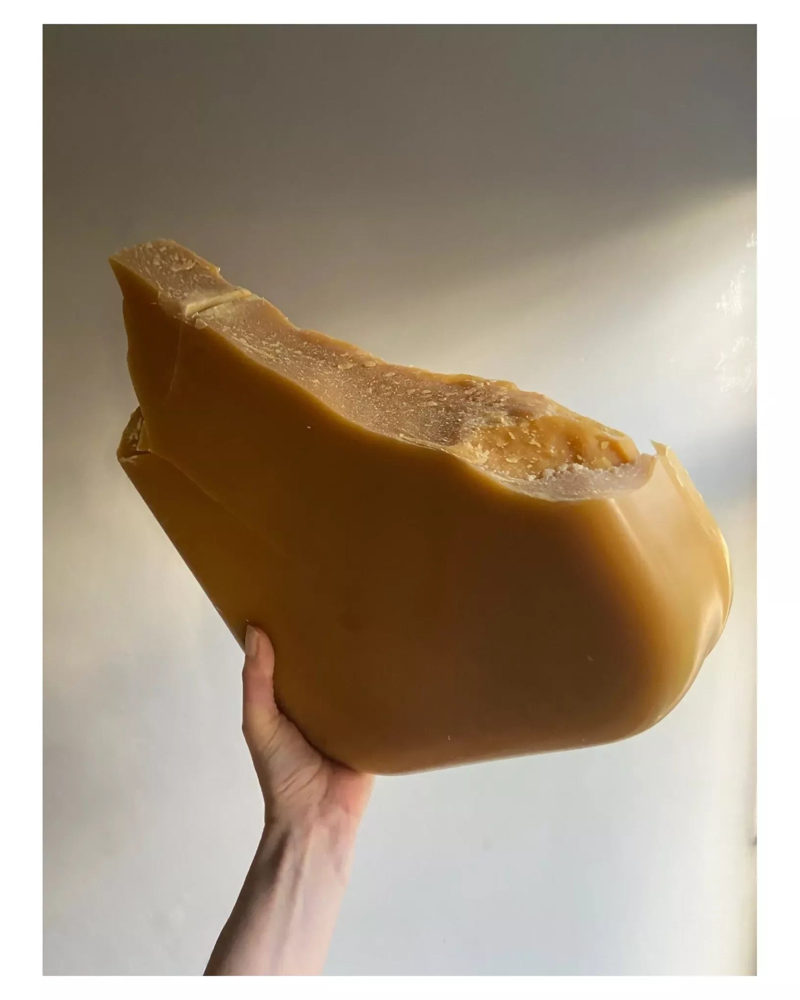 Hand holding a large block of brown cheese against a neutral background