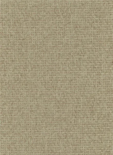 HERMIT CRAB BY JOHN MARK NATURALS