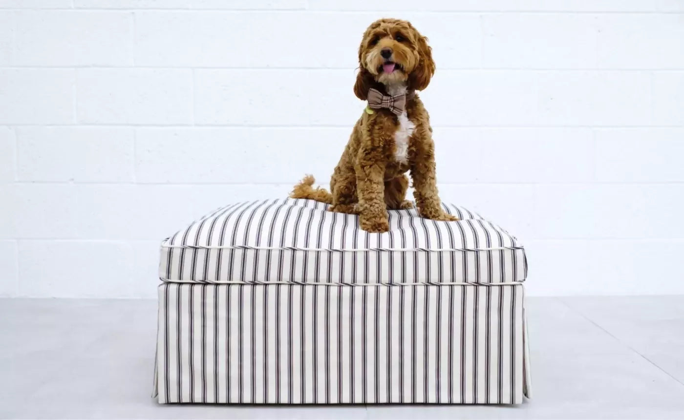 HYDE OTTOMAN AND DOG BED BY LORFORDS CONTEMPORARY