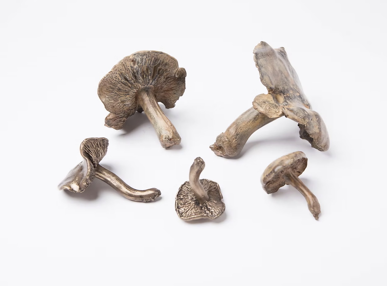 Five brass mushrooms on a white background,available to buy from the-salon.com. SALON curates the finest unique handmade pieces from the interior industry's best makers and brands. Shop luxury furniture, lighting, rugs, art, antiques and vintage pieces and accessories from SALON interior designed rooms. 
