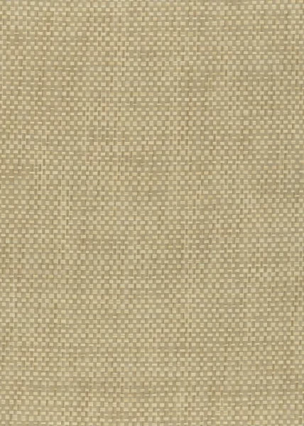 RATTLE SNAKE BY JOHN MARK NATURALS