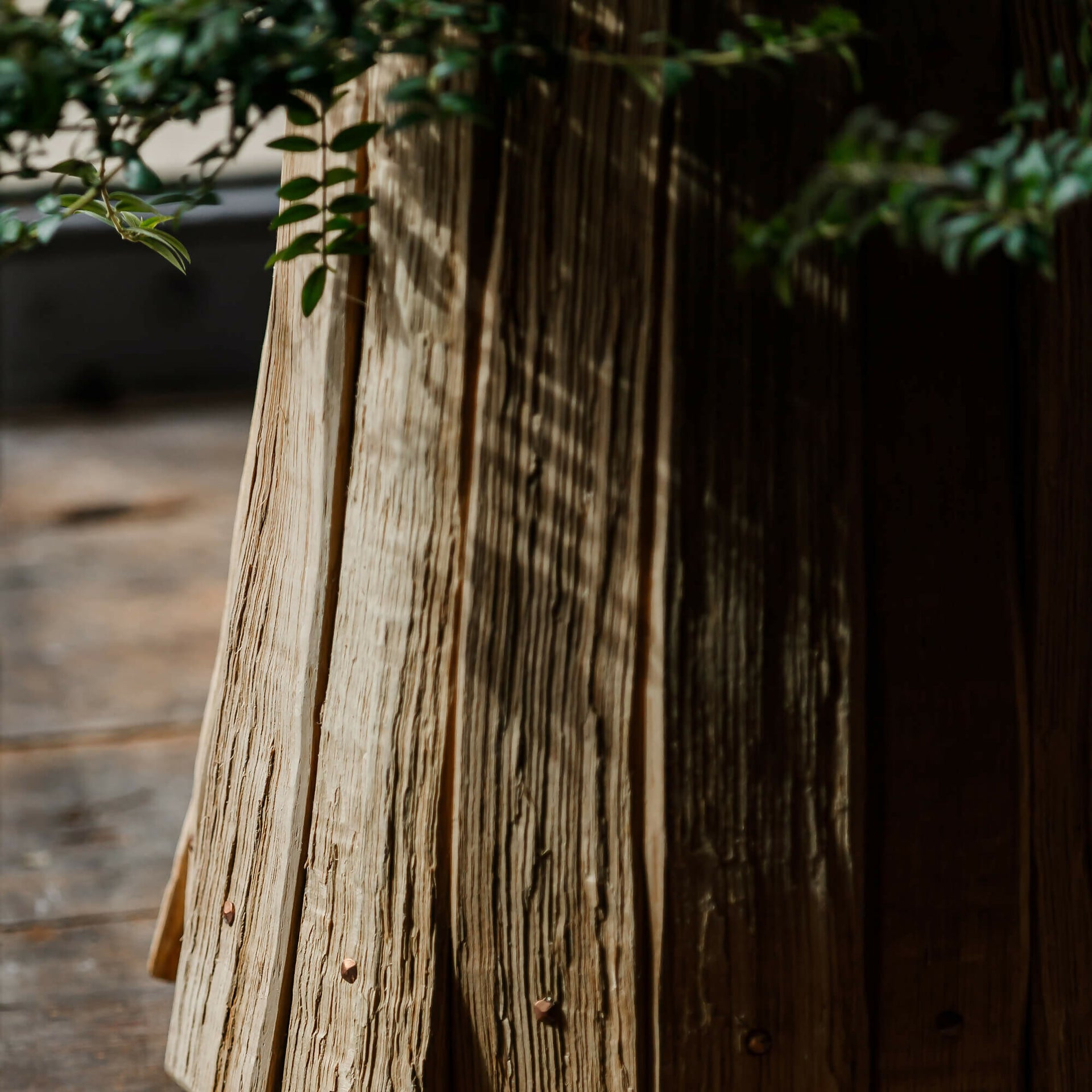 TABI JACKSON GEE EDIT: CLEFT OAK PLANTER (LARGE) BY TABI JACKSON GEE & JACK RITSON