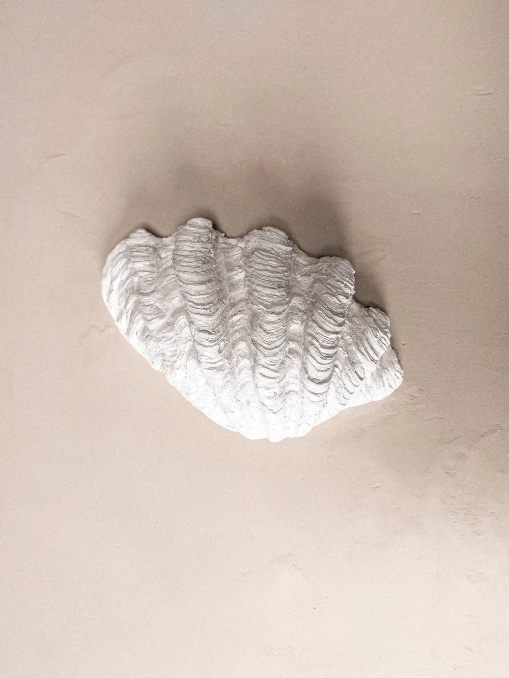 CLAM SHELL WALL LIGHT BY JESS WHEELER