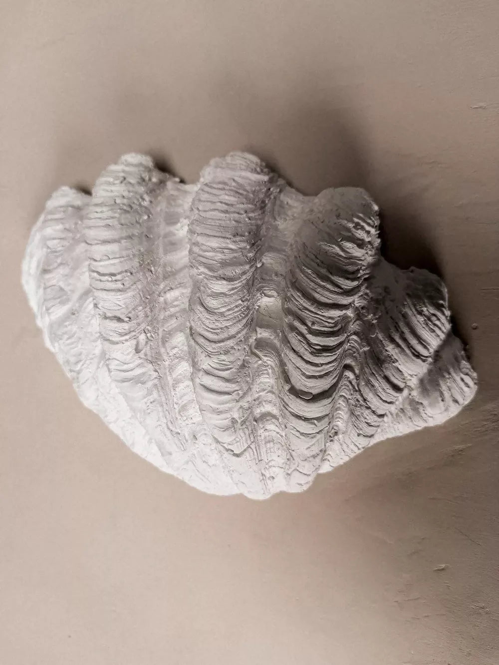 CLAM SHELL WALL LIGHT BY JESS WHEELER