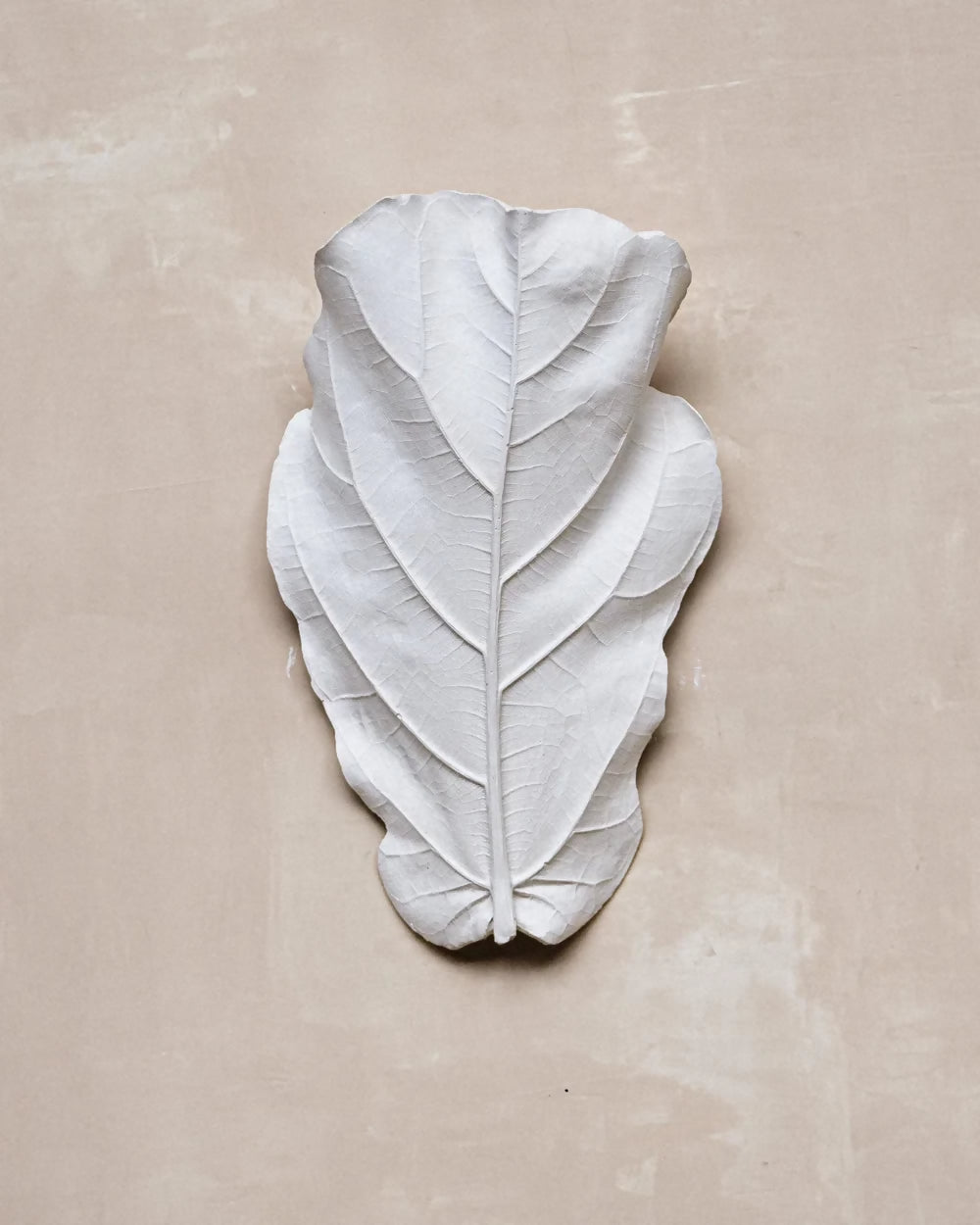 FIDDLE LEAF WALL LIGHT BY JESS WHEELER