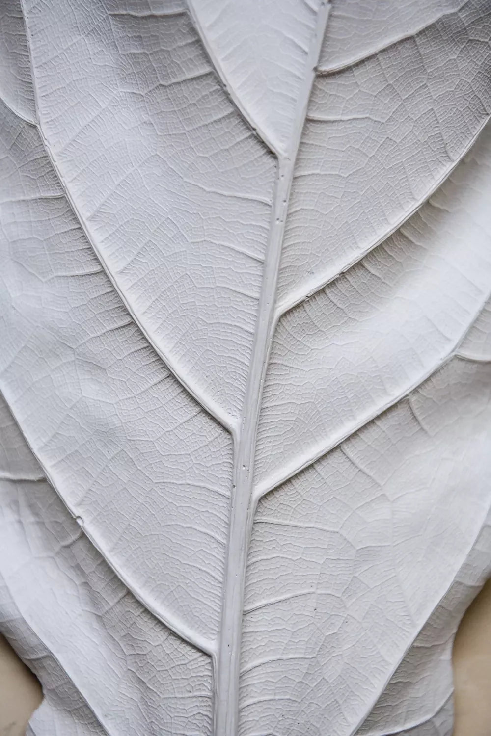 FIDDLE LEAF WALL LIGHT BY JESS WHEELER