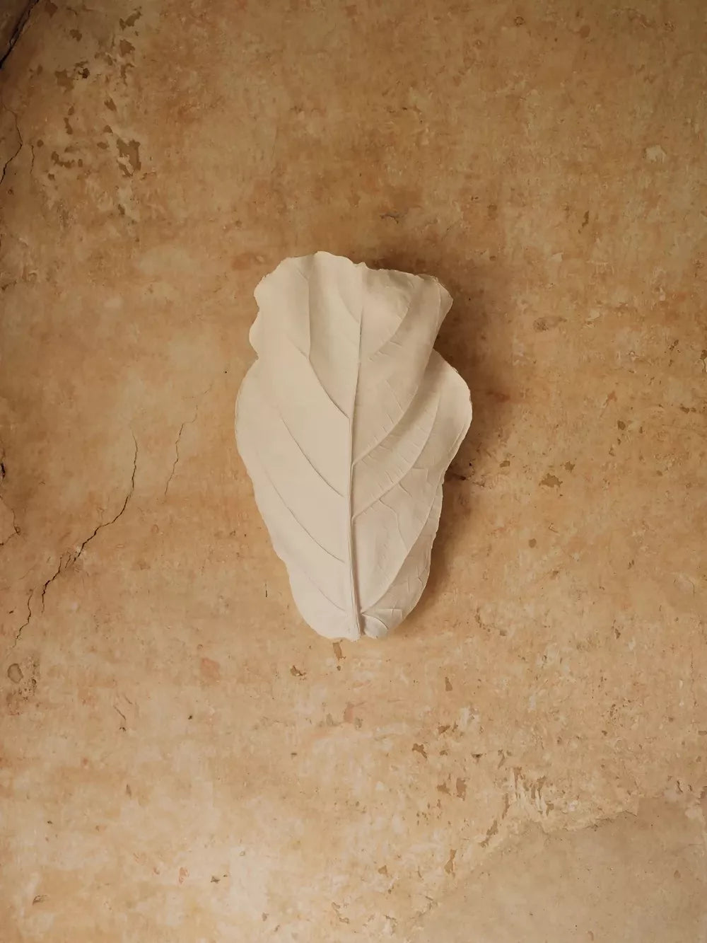 FIDDLE LEAF WALL LIGHT BY JESS WHEELER