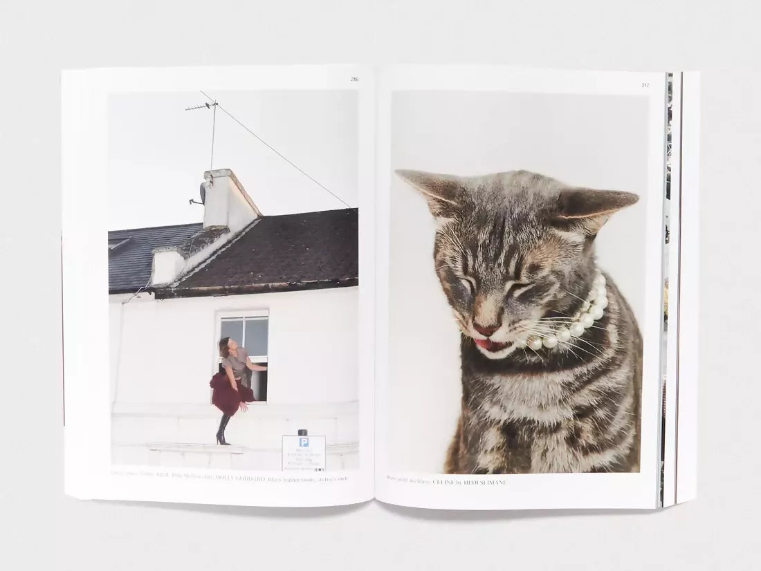 An open book, the pages contain a woman  sneaking out of a window and the other a stripy grey cat,  available  to buy on the-salon.com. SALON curates the finest , unique, handmade pieces from the interior industry's best makers and brands. Shop luxury furniture, lighting, rugs, art, antiques and vintage pieces and accessories from SALON interior designed rooms.