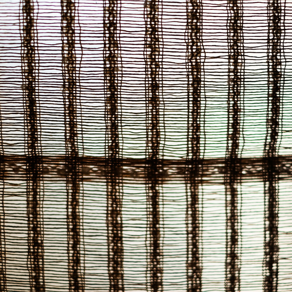 LOOKING GRASS BY SETT & BEAT