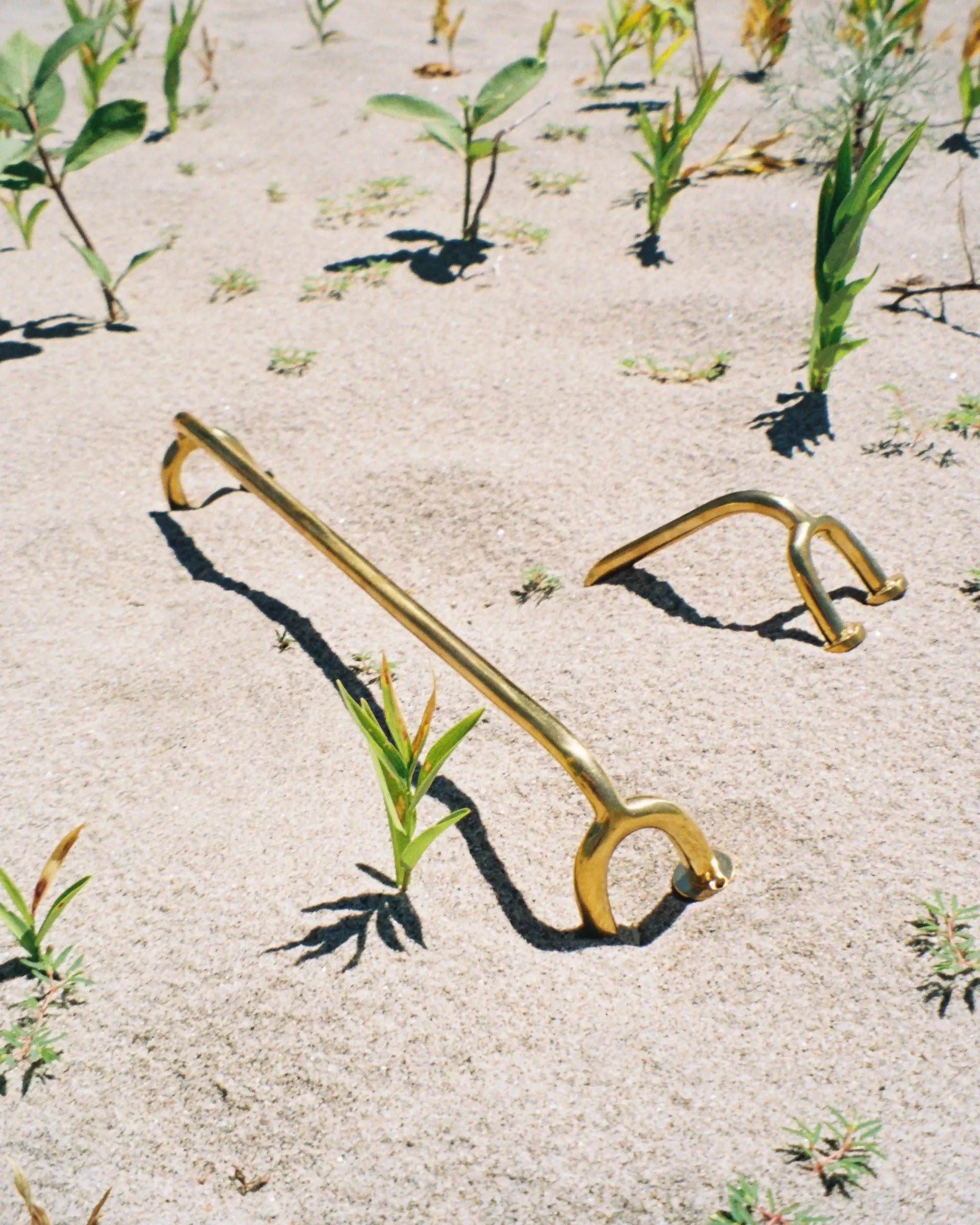 FAUNA TOWEL BAR BY MAHA ALAVI