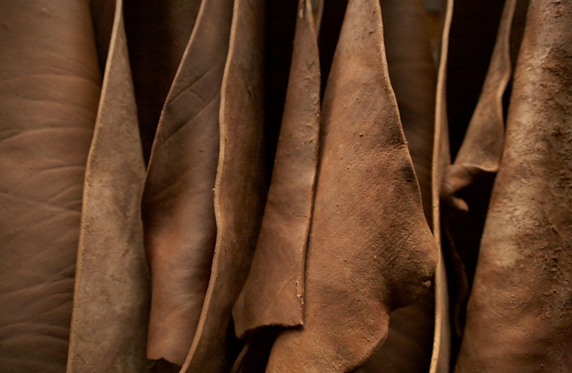 image of a burgundy leather flooring by Element7, available  to buy on the-salon.com. SALON curates the finest , unique, handmade pieces from the interior industry's best makers and brands. Shop luxury furniture, lighting, rugs, art, antiques and vintage pieces and accessories from SALON interior designed rooms.