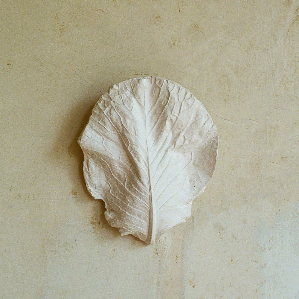 A plaster wall light fixture in the shape of a hispi cabbage leaf, displayed against a neutral background,  available  to buy on the-salon.com. SALON curates the finest , unique, handmade pieces from the interior industry's best makers and brands. Shop luxury furniture, lighting, rugs, art, antiques and vintage pieces and accessories from SALON interior designed rooms.