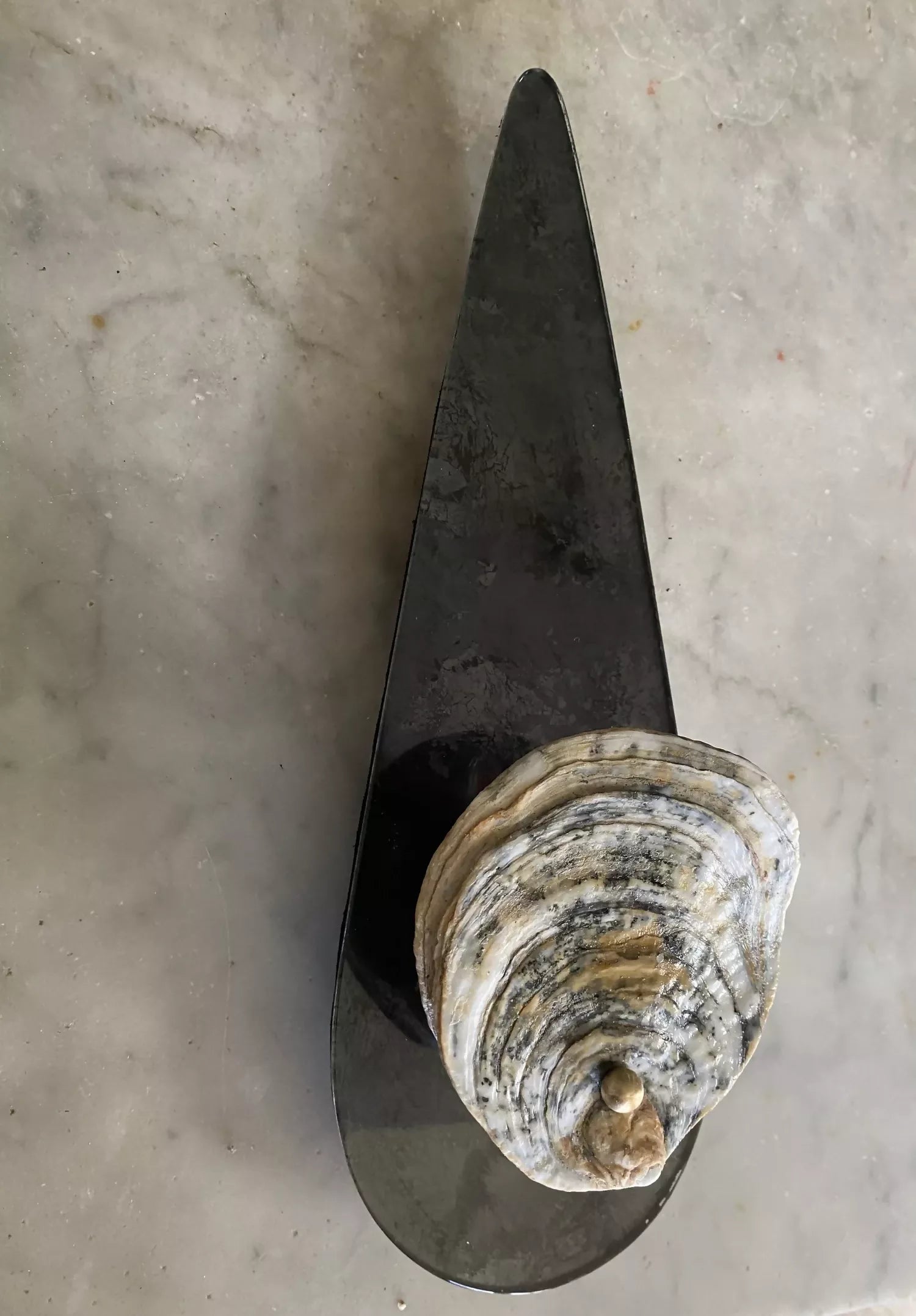 TEAR DROP SCONCE WITH NORFOLK OYSTER WALL LIGHT BY CHARLOTTE PACKE