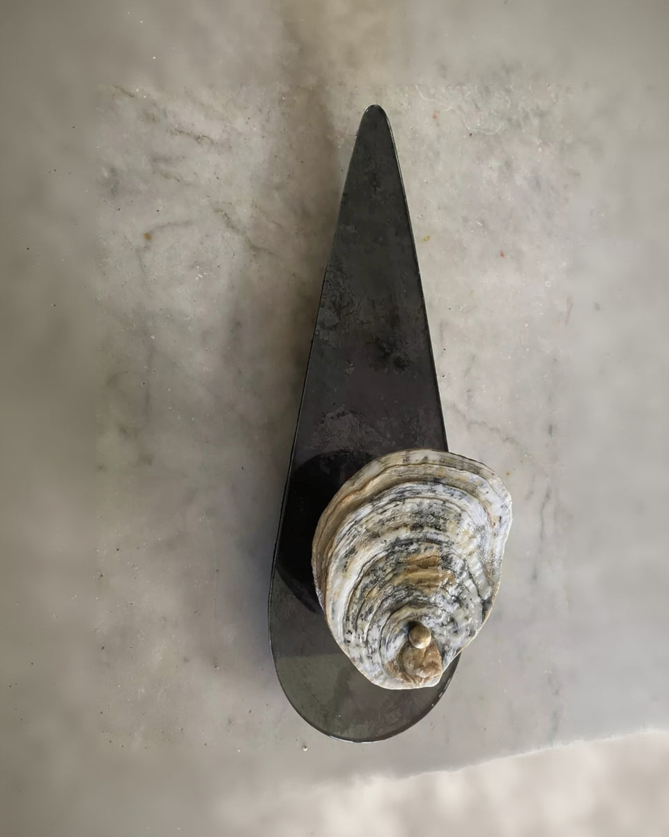 Decorative shell on a metal stand against a concrete background