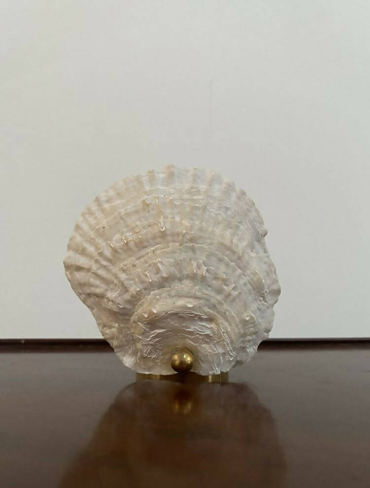 A brass tealight candle holder in the shape of a Norfolk oyster shell, displayed against a neutral background,  available  to buy on the-salon.com. SALON curates the finest , unique, handmade pieces from the interior industry's best makers and brands. Shop luxury furniture, lighting, rugs, art, antiques and vintage pieces and accessories from SALON interior designed rooms.