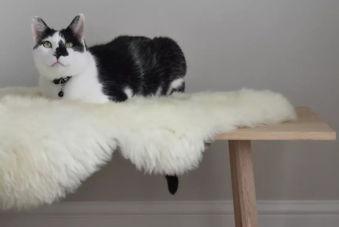 White sheepskin rug. The rug, available to buy from the-salon.com. SALON curates the finest unique handmade pieces from the interior industry's best makers and brands. Shop luxury furniture, lighting, rugs, art, antiques and vintage pieces and accessories from SALON interior designed rooms. 