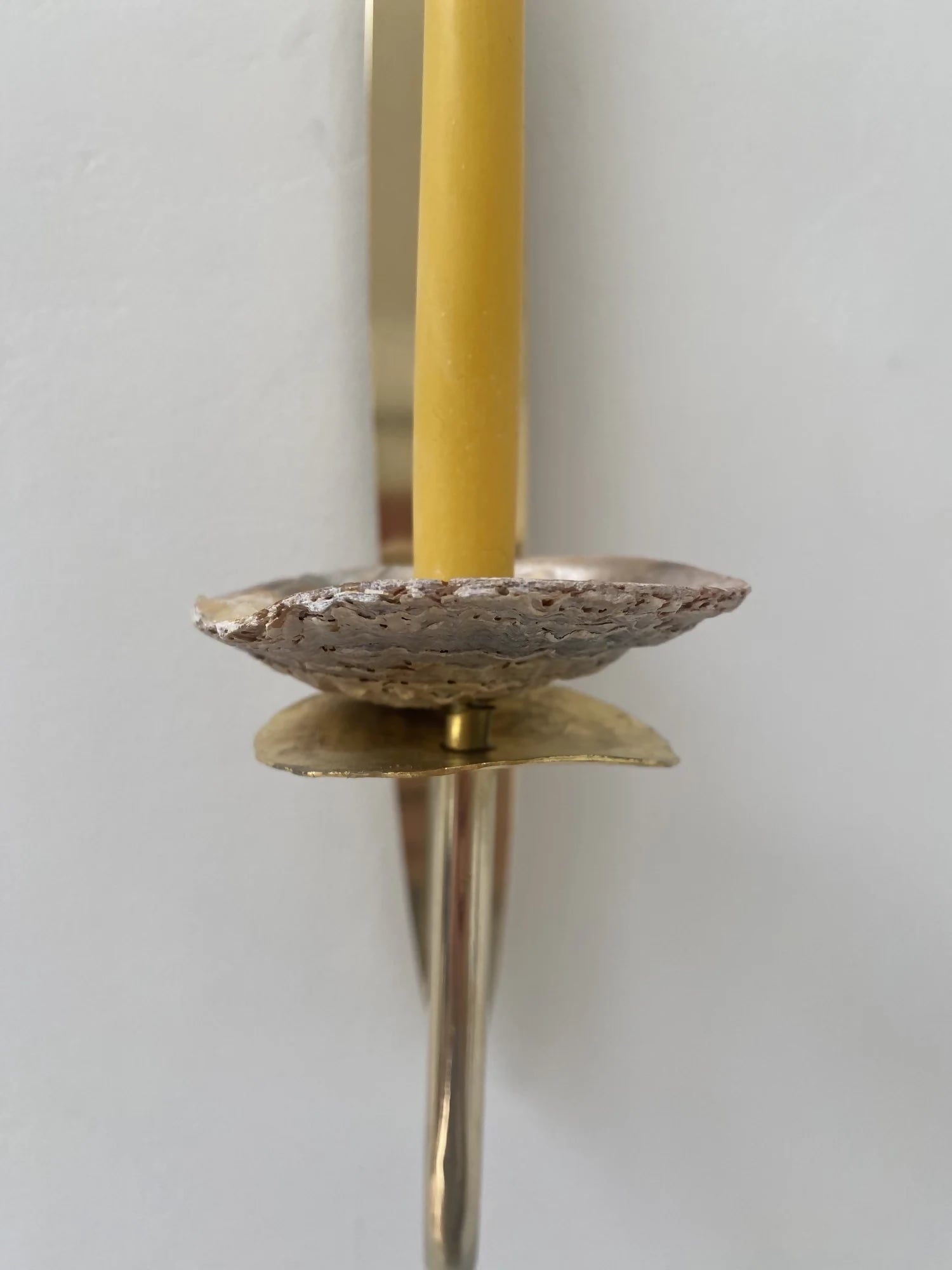 NORFOLK SHELL SCONCE BY CHARLOTTE PACKE