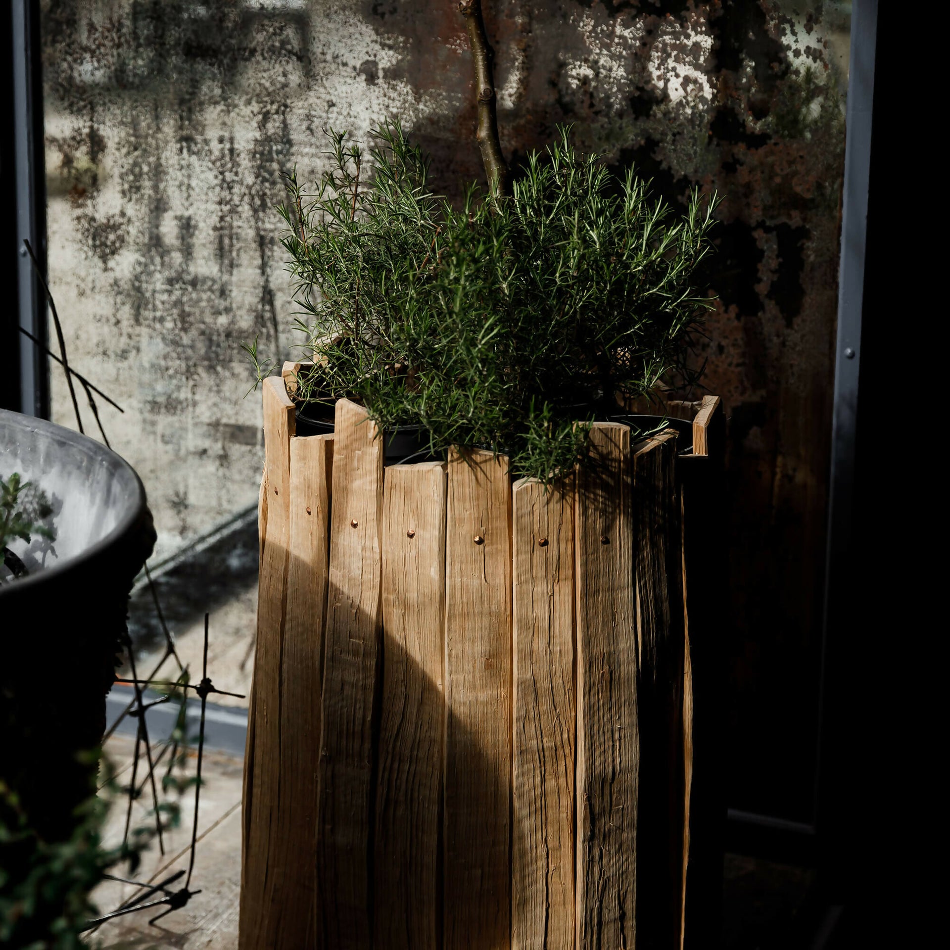 TABI JACKSON GEE EDIT: CLEFT OAK PLANTER (LARGE) BY TABI JACKSON GEE & JACK RITSON
